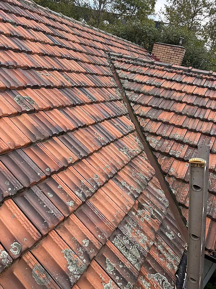 Terracotta tile roof with lichen and dirt built up across the tiles